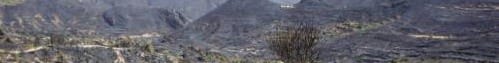 Incendi a la província de València incendivalencia