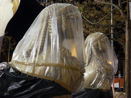 Plantà Na Jordana 2013 (18)