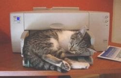 Haga clic para construir el ninot