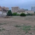 La Berni quiere un barrio más verde