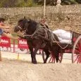 Concurso de tiro y arrastre