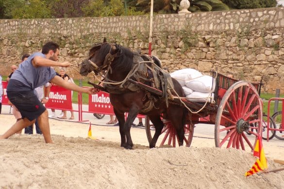 Concurso de tiro y arrastre