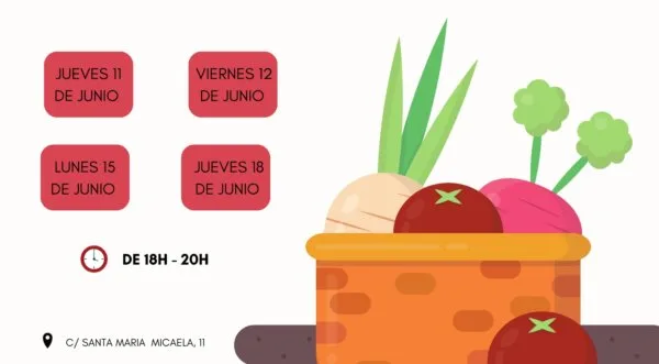 Operación Covid-19 (Falla Santa M. Micaela 2020)