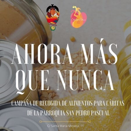 Cartel Ahora más que nunca (Falla Micaela)