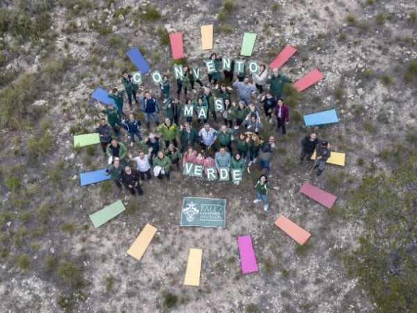 Repoblación forestal de la Falla Convento Jerusalén
