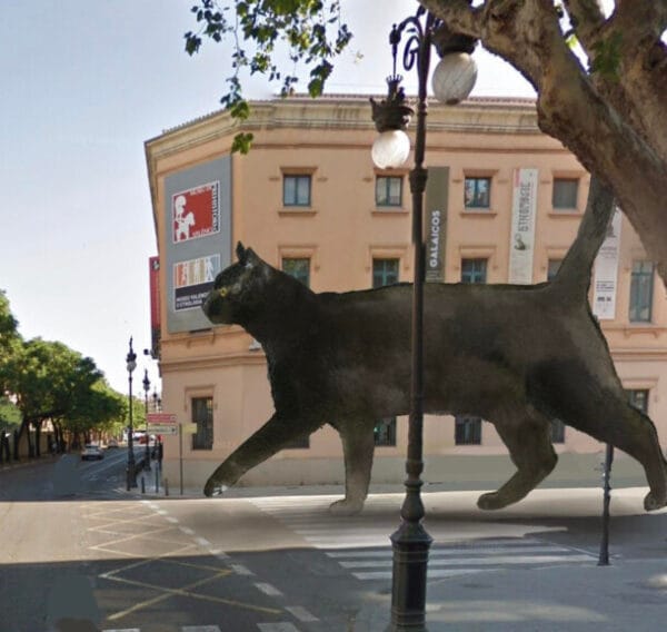 Proyecto de la falla grande de Corona 2023