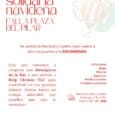 Cartel de la campaña solidaria 2022 de la Falla Plaza del Pilar