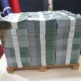 Dinero, diners, euros, Falla Corona 2021