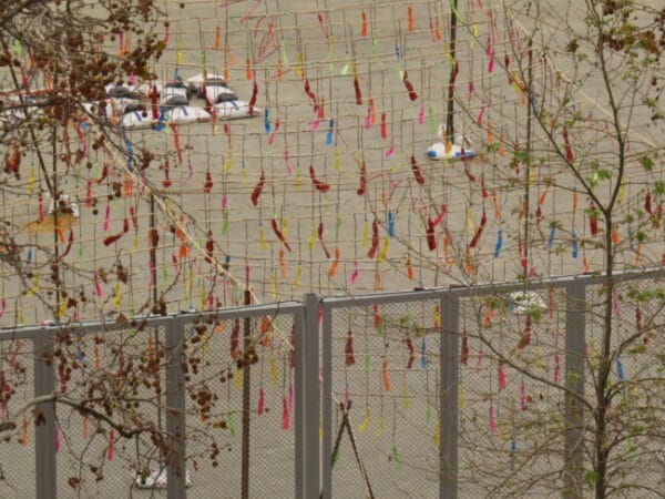 Mascletà de la plaza del Ayuntamiento de València, 16/03/2022