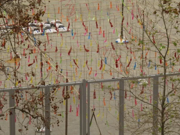 Mascletà de la plaza del Ayuntamiento de València, 16/03/2022