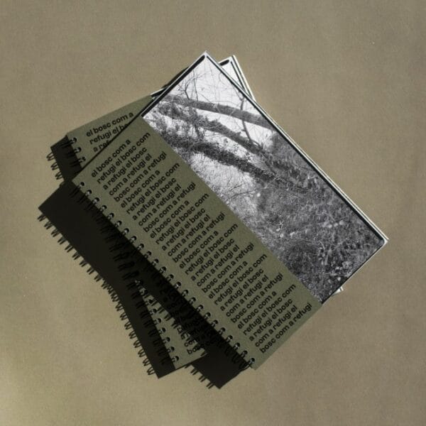 Llibret de la Falla Arrancapins 2024