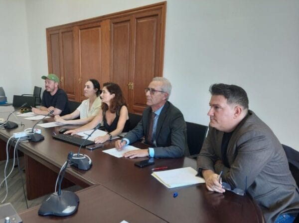 Elección de la imagen de las Fallas de València 2025