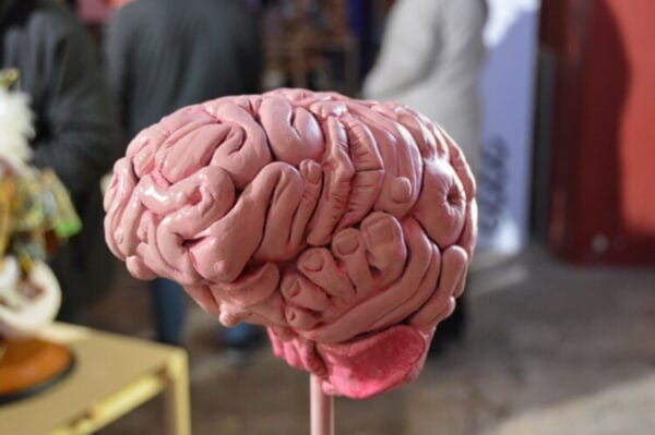 Figura de la Falla Plaça de Jesús para la Exposición del Ninot 2025 (de los hermanos García Pérez)