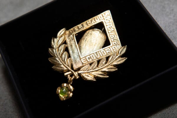 Insignia para delegados y delegadas sostenibles (Ecovidrio)