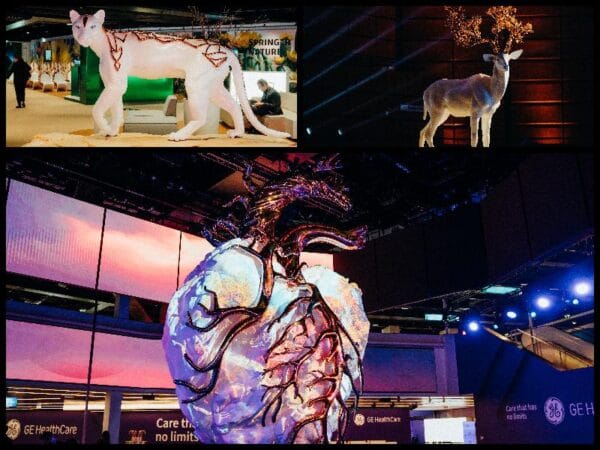 Decoración del Congreso de Radiología de Imagen de Viena, realizada por Valua