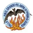 Escudo de La Falla de Pere