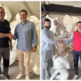Artistas de la Falla Av. Oeste "Velluters" 2026