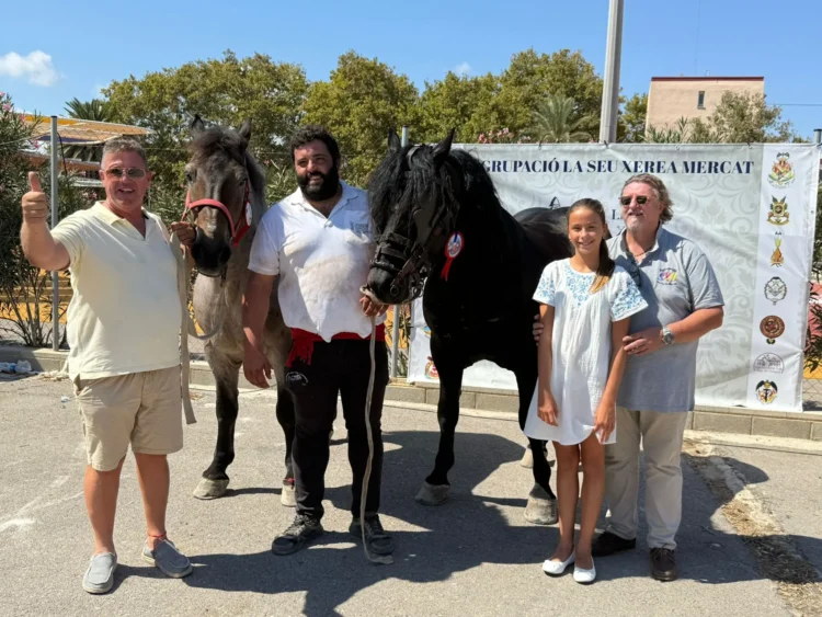 Inauguración del concurso de tiro y arrastre de La Seu-Xerea-Mercat
