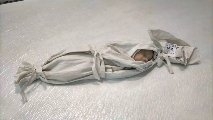 Figura de la Falla Arrancapins para la Exposición del Ninot 2026